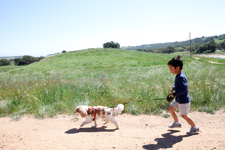 are dogs allowed at santa rosa plateau